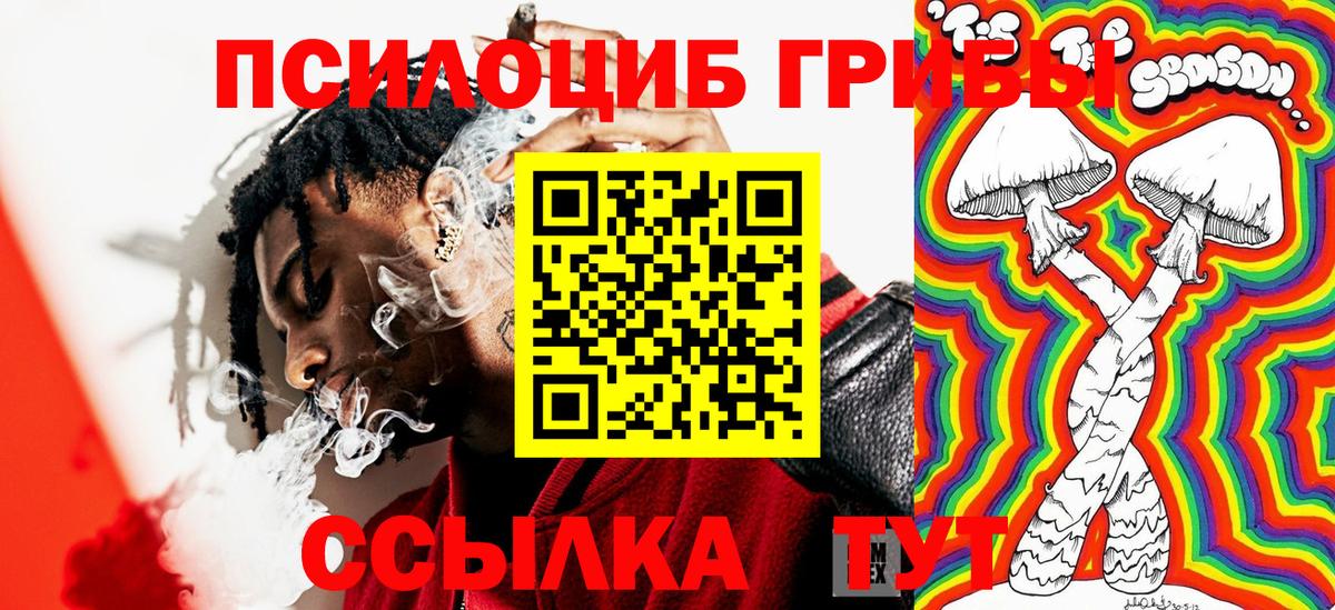 Псилоцибиновые грибы GOLDEN TEACHER Будённовск