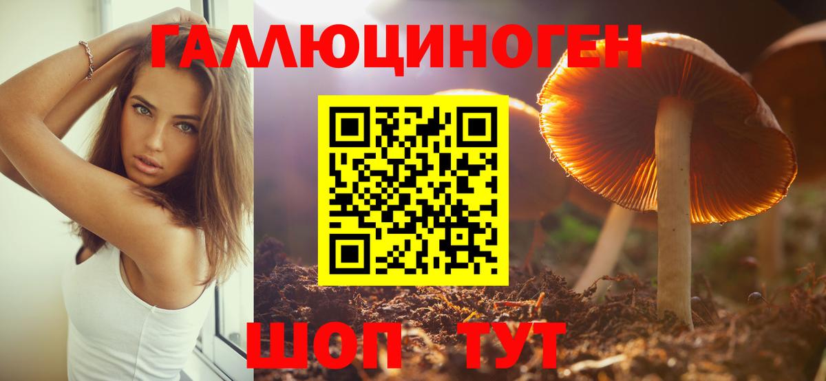 Псилоцибиновые грибы MAGIC MUSHROOMS  Вход с VPN  Будённовск 
